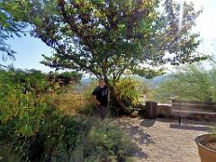 183 HYERES ET SES PALMIERS D01_000045